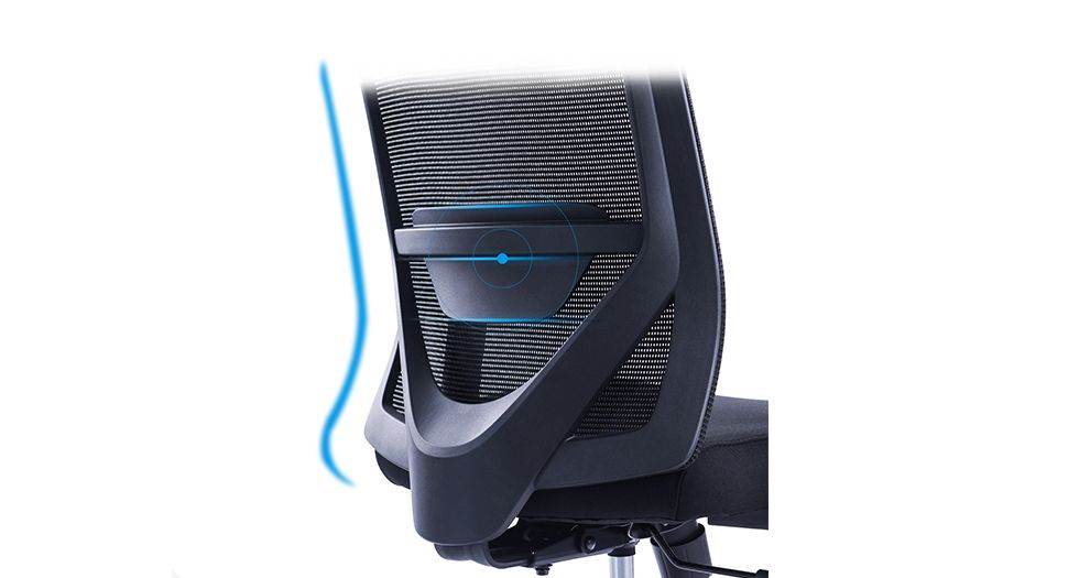 V-Shaped Lumbar Support