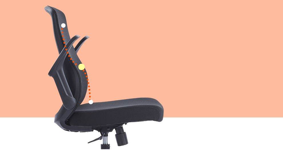 S-Curve Lumbar Support