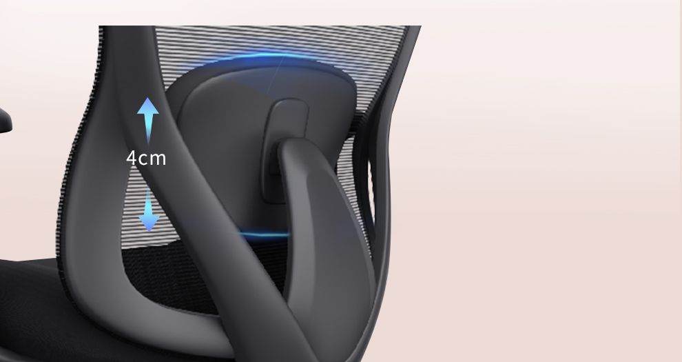 Floating Lumbar Support